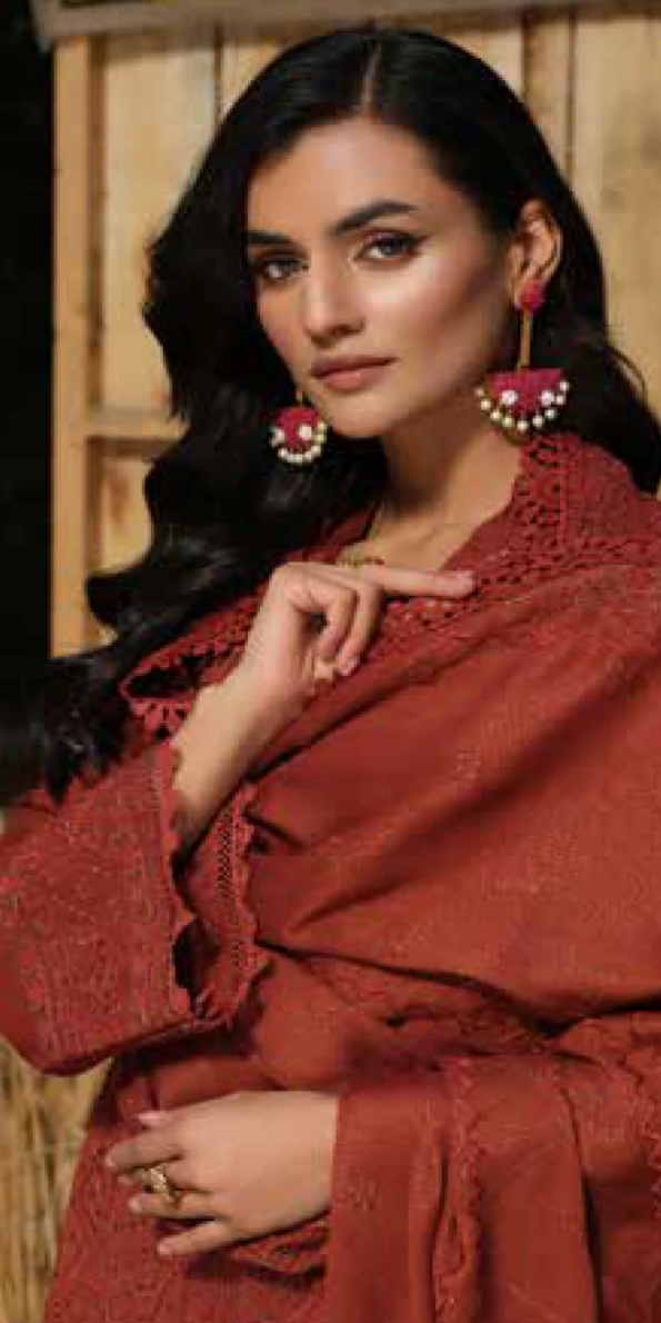 Tehzeeb Embroidered Leather Peach Collection With Embroidered Velvet Jacquard - Winter
