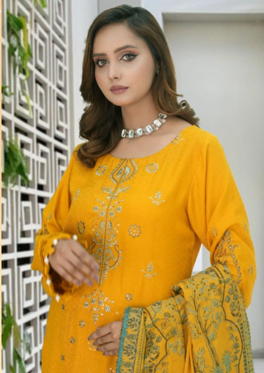 Meemsey Embroidered Wool 3 piece suit - winter